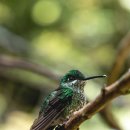 바로 동물병원 이미지