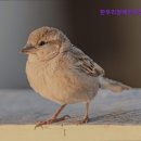 한우리주간보호센터 이미지