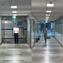 이모네토스트&버거 | [9월 일상] 나는 언제나 슬프다