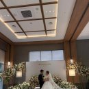 세븐일레븐광주두암제일저 | 단짝을 떠나 보내고 ! 항상 보고싶은 내친구