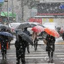함박눈
