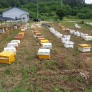 기민농장 이미지