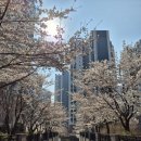 시네마부동산공인중개사사무소 네이버블로그