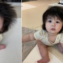 생활문화로 본 일본인의 삶 이미지