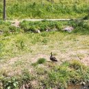 까치울역 4번 출구 이미지