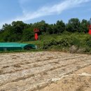 창녕군도천면논리보건진료소 이미지