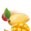 골든트리 이미지