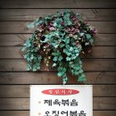 동서울영계백숙 이미지
