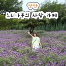 (사)모두사랑 | 양산 느티나무의 사랑 카페 사전예약 다녀온후기