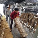 더불어농장 이미지