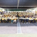 섬 왕새우축제 이미지