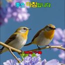 오룡골 이미지
