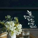 황제고물상 이미지