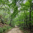 가오리역 이미지