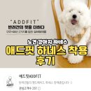 메이드핏 | 노견 하네스 추천 내돈내산 애드핏 핸드메이드 강아지 옷 하네스 착용 후기
