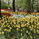 시민의숲산책로1-1 이미지