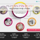 이조네일 이미지