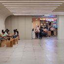 스테이 쉼 발산 이미지