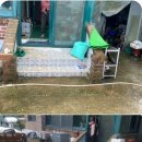 사성1리 이미지