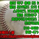 미즈노 프로 이바타 내야용 오더 이미지