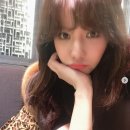 정아나고 이미지