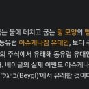 리코베이글