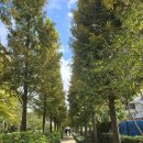 경의선숲길 이미지