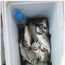 삼천포마리나펜션 이미지