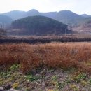 초계초 덕곡분교 이미지