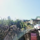 호도귤정원 이미지