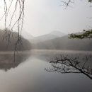 금호지 생태공원 이미지