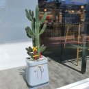 캐슬안경 이미지