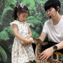 8월 4주) 듀라 꽃사슴 🌸 이미지