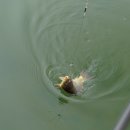 명곡 낚시터 이미지