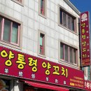양통령 양꼬치