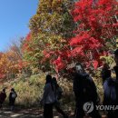 '금강산 가던 옛길' 양구 두타연 23일부터 관광 재개 이미지