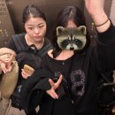 11500-7-59-101 | 이유를 상기시켜준 타이베이 여행 1탄 - 숙소추천, 융캉제후기(가빈명가, 라뜰리에), 타이베이 101후기