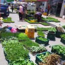 안강시장 이미지