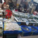 고흥수산 이미지