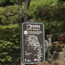 광명누리길 2코스 | 경기도 광명시 광명동굴 예약 및 주차 정보 : 여름에 아기랑 갈만한 곳