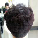 김싸롱 이미지