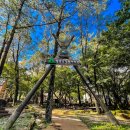 월출산국립공원 천황사야영장 이미지