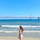 펠리스게임 이미지