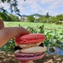 행복한마카롱김천점 이미지