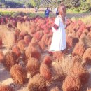 꽃단지 화장실 이미지