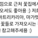 영플레르