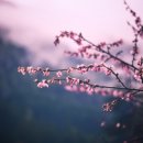 우진ENG