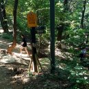 우면산둘레길 이미지