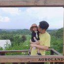 태진목장 이미지