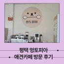 지에스25평택용이금호점 | 평택 애견 카페 멍토피아 방문 후기